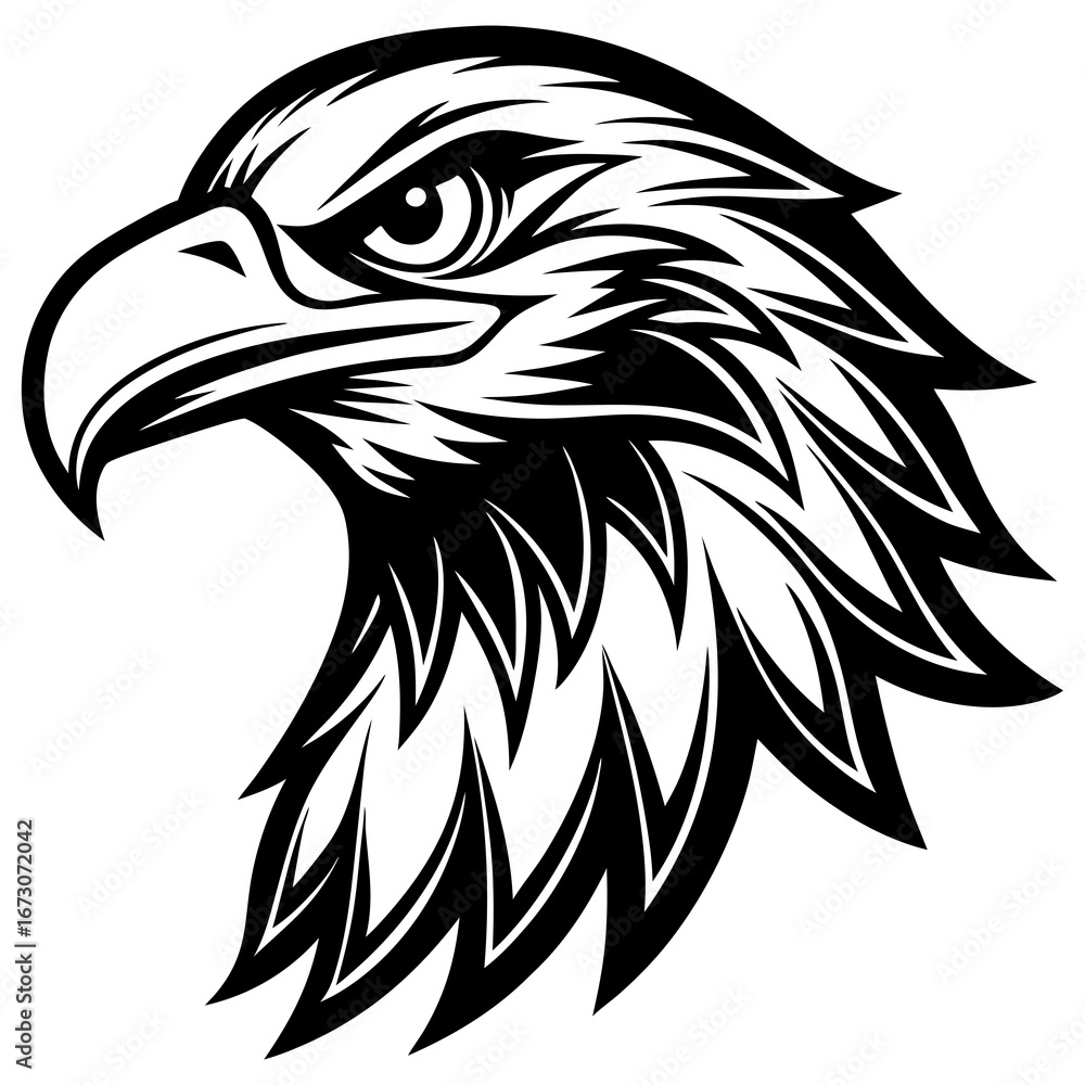 Fototapeta premium eagle head vector