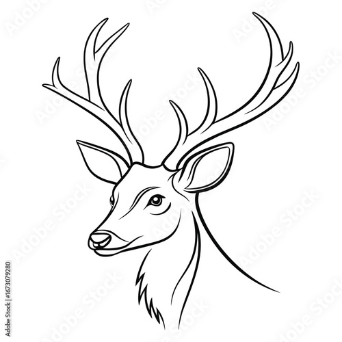 Detailed Black and White Line Drawing of a Deer Head with Large Antlers stag animal