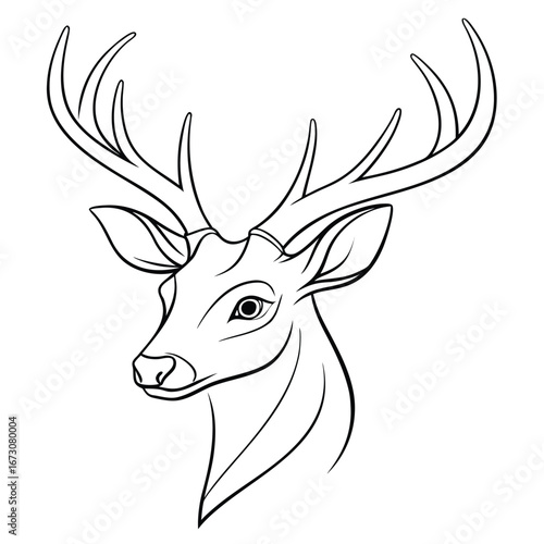 Elegant line drawing of a majestic deer head with elaborate antlers on a white background stag buck