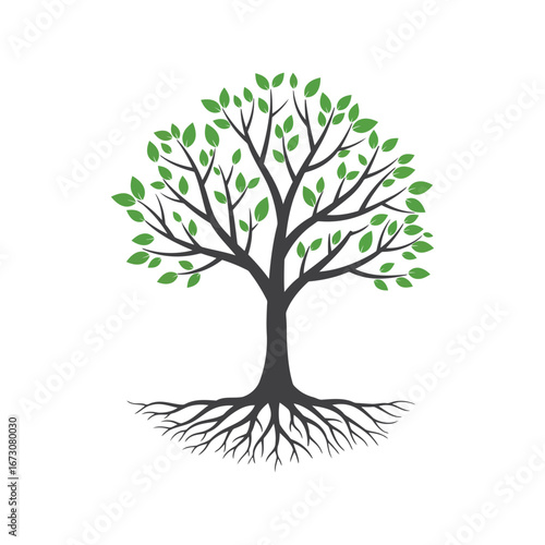 Healthy tree with lush green leaves and strong roots symbolizing growth and nature vector