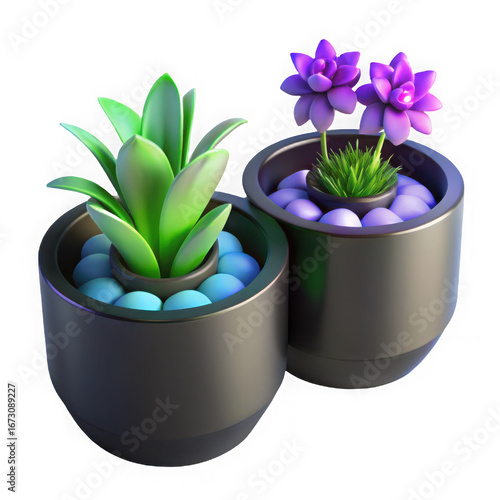 Two potted plants succulent and echeveria in cylindrical pots with decorative stones