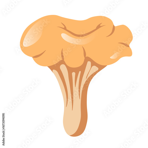 Chanterelle Mushroom in Flat Style Icon isolated on white Background. Orange or Yellow Fresh Mushroom. Edible Fungi Chanterelle. Vector Illustration.