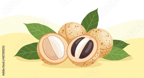 Longan Fruit Illustration With Leaves Showing Freshness and Delighting Visuals
