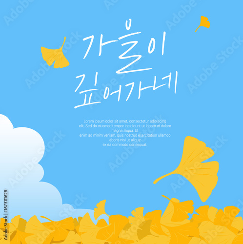 가을 하늘과 은행잎 배너