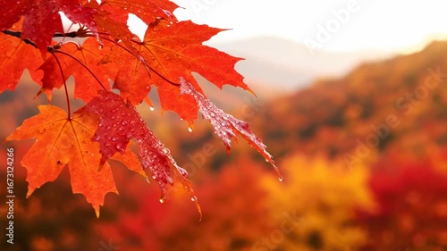 Close-up of Vibrant Red Maple Leaves in Autumn