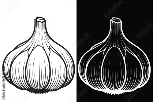 Black and White Garlic Bulb Illustration with Inverted Design