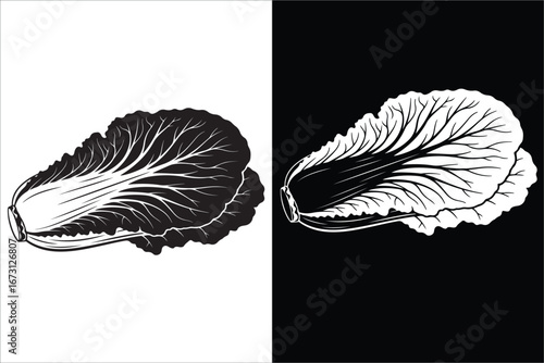 Napa Cabbage Vegetable Duo