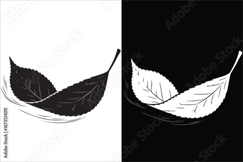 Dynamic Black and White Leaves in Motion on Contrasting Background