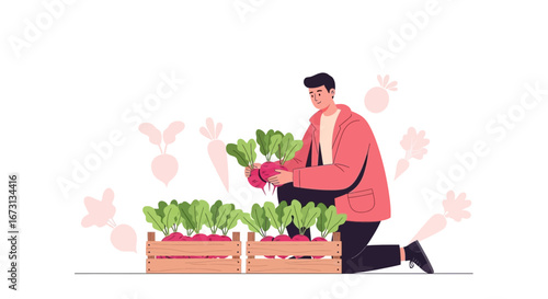 Man Harvesting Red Beets From Wooden Crates, Symbolizing Fresh Produce and Farming