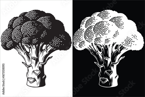 Monochrome Broccoli Illustration with Inverted Black and White Versions