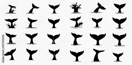 Collection of whale tail silhouettes emerging from water in various positions, isolated on a transparent background.