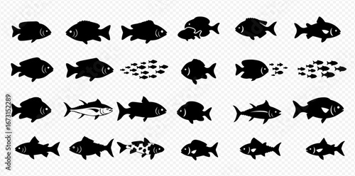 A collection of diverse fish silhouettes, including single fish and groups, presented in a grid on a transparent background.