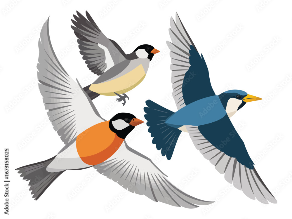 Obraz premium Graceful Flight A Trio of Birds Soaring Through the Sky