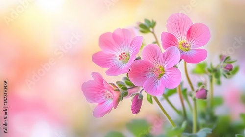 Macro floral shot with vibrant petals and blurred surroundings, emphasizing natural beauty