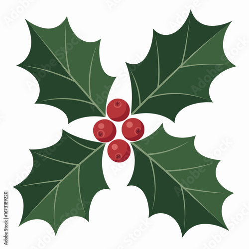 holly leaves and berries