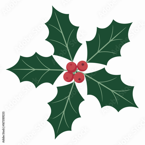 holly leaves and berries