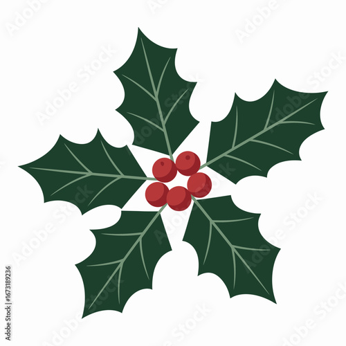 holly and berries