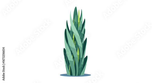 A tall green plant with pointed leaves growing in a garden illustration
