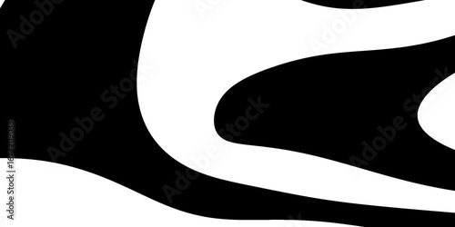 Dynamic black white fluid motion pattern