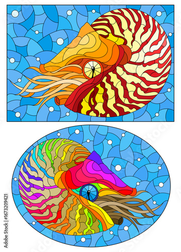 Set of stained glass illustrations with a bright abstract nautiluses on a background of water and air bubbles