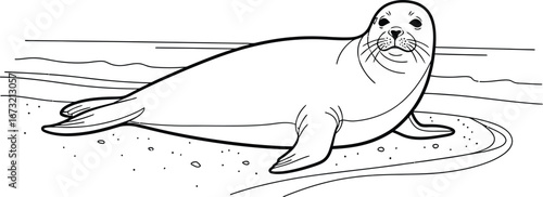 Sea lion lying on the beach in a black and white drawing