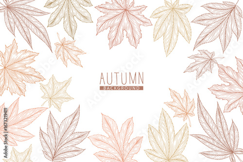 Vector illustration with hand drawn autumn maple leaves isolated on white background. Engraved line art fall leaf design for print, invitation, brochure, card, wallpaper, banner