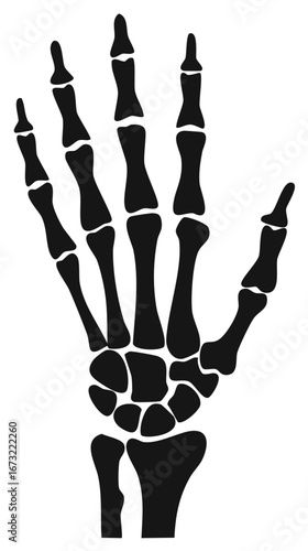 Hand Bones Skeleton Illustration, Anatomy, Halloween Theme Spooky Icon