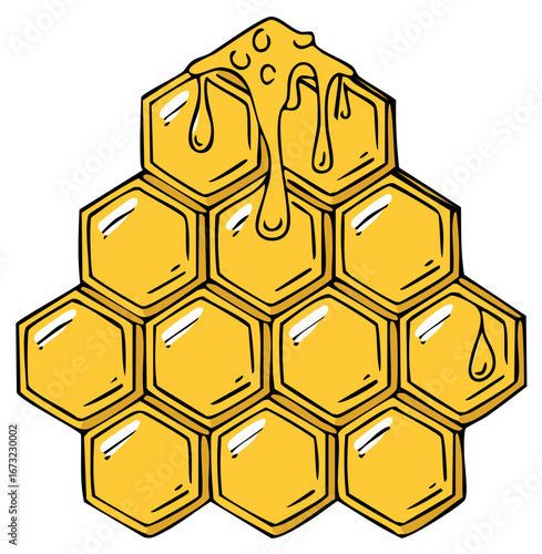 Honeycomb Illustration with Dripping Honey. Natural Food, Vector Drawing