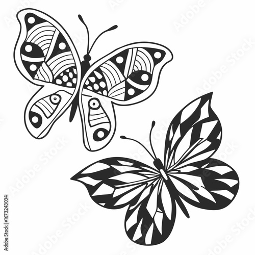 two flying butterflies