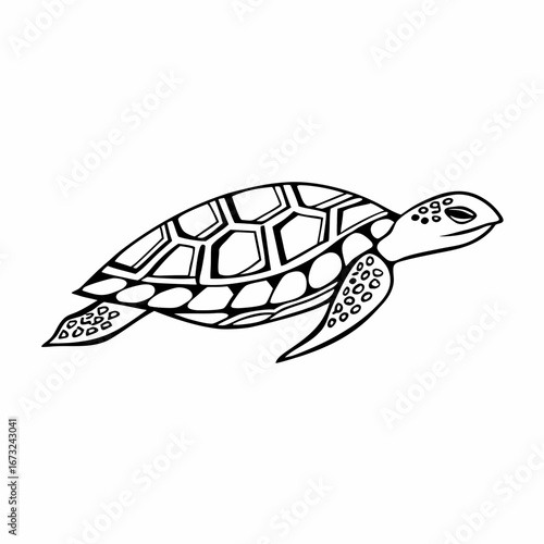 swimming turtle coloring page