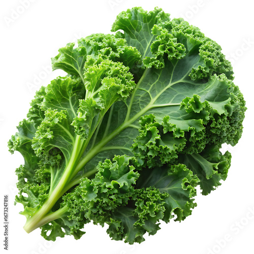 Partially Sliced Kale – Isolated on Transparent Background – PNG – GENERATIVE AI