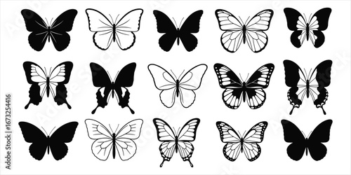 Assortment of black and outlined butterfly illustrations on white insect drawing