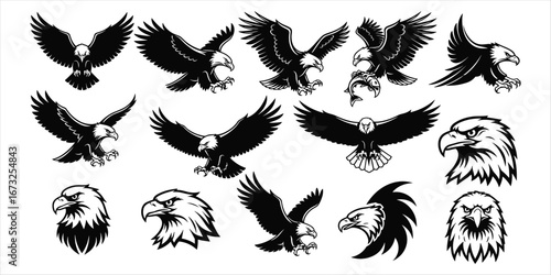 Assortment of Fifteen Black and White Eagle and Hawk Illustrations bird raptor