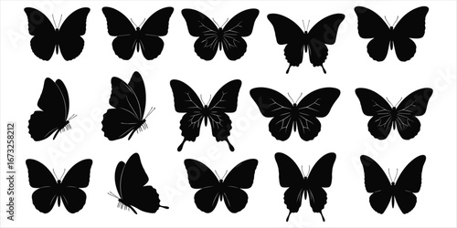Fifteen Black Butterfly Silhouettes in Different Poses and Angles insect flying