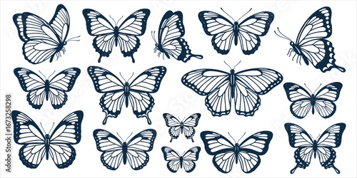 Fifteen blue and white butterflies in different poses on a white background butterfly insect