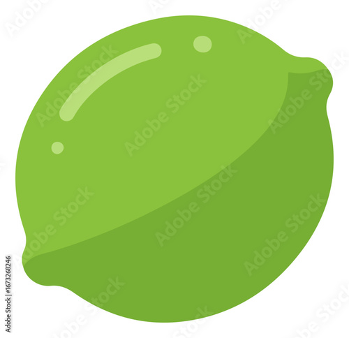 Bright green lime fruit, simple illustration style.