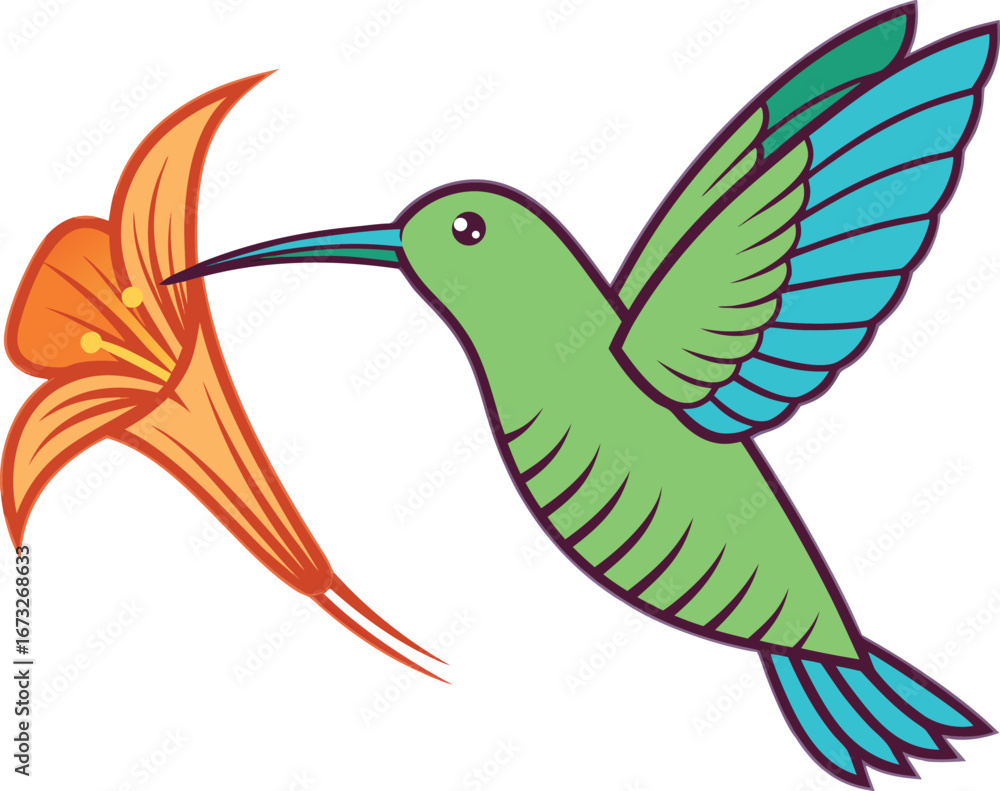 Fototapeta premium Vector art of a vibrant green hummingbird with blue wings drinks nectar from an orange lily flower, isolated on a