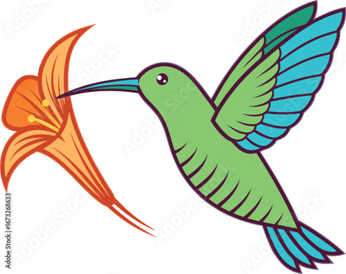 Vector art of a vibrant green hummingbird with blue wings drinks nectar from an orange lily flower, isolated on a