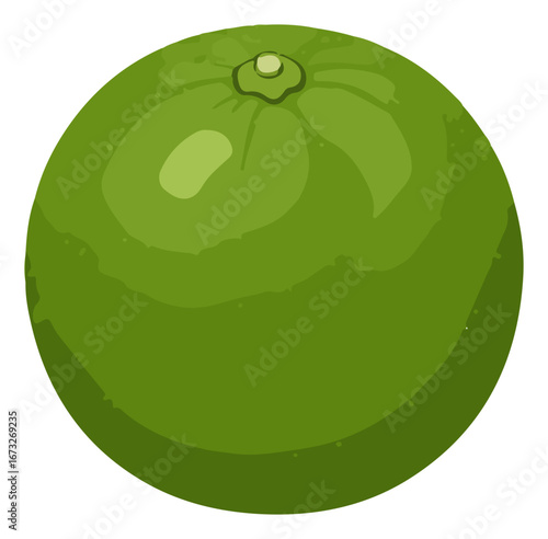 A vibrant green lime, whole and unblemished, sits against a plain white background.
