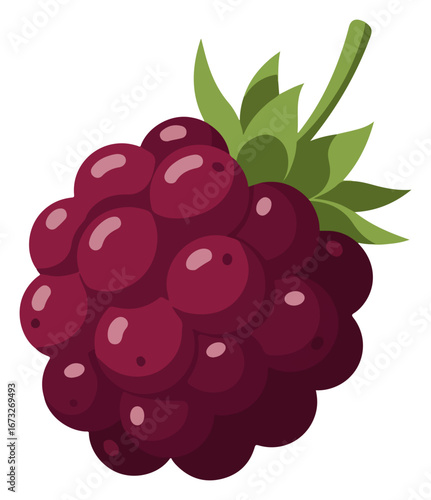 A cartoon-style illustration of a cluster of ripe, dark purple blackberries with green leaves and stem.