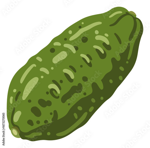 A vibrant illustration of a single, ripe key lime, showcasing its textured skin and oblong shape.