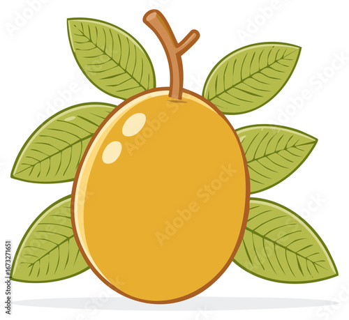 Cartoon loquat with leaves isolated. Exotic fruit on branch, tropical harvest in autumn season, nature graphic, sweet vitamine food.