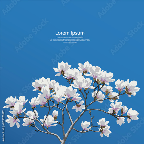 푸른하늘과 목련 배너