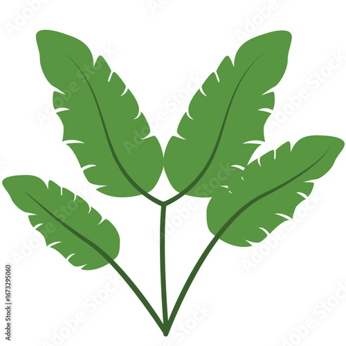 Vector of tropical banana-style leaves in vibrant green color, representing summer, jungle, and natural freshness for decoration.
