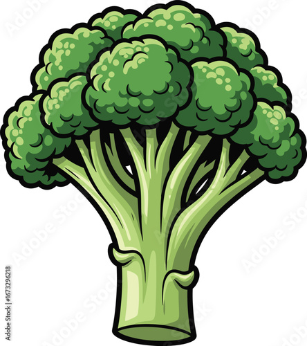 fresh broccoli isolated on white