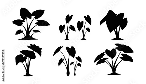 Black Silhouette Taro Leaf Set – Minimalist Vector Illustrations on White Background
