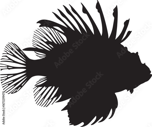 Pterois or lionfish vector silhouette illustration