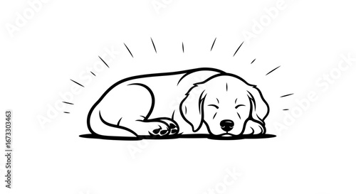 adorable golden retriever puppy sleeping, line art, pet illustration, dog