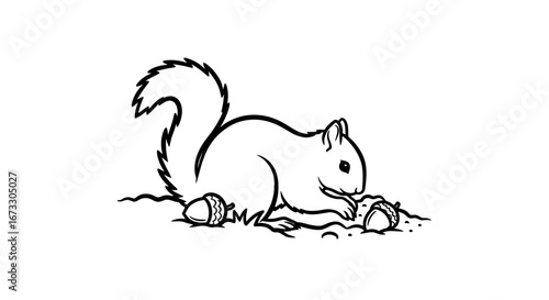 cute squirrel illustration black and white line art of a squirrel burying acorns