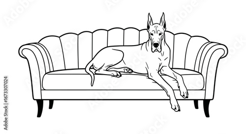 great dane dog relaxing on vintage sofa, elegant canine, pet, home decor, line art